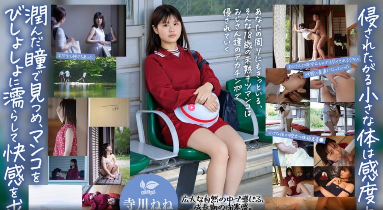 综合无码色情一区二区,S1ガールズコレクションシリーズ,免费完整版无删减